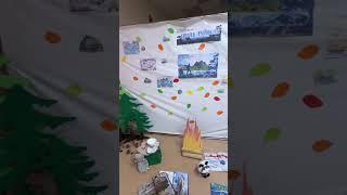 Вот, что делает наш кот, пока все заняты#БиблиотекаНаСолнечном #Норильск  #Рабочиебудни