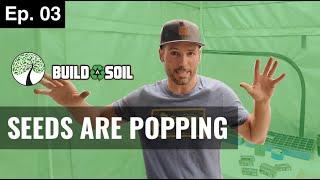 BuildASoil: PUTTING OUR SEEDLINGS ON THE TRAY2GROW WATERING SYSTEM (Season 7, Episode 3)