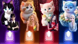 Cute Cats Covers Songs | Wednesday Bloody Mary | Waka Waka Shakira | Flower Jisoo | Enemy Elsa Cats