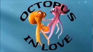 Octopus in Love