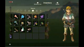 Zelda BOTW - Just outside Great Plateau (where to find fairies, hightail lizard warm darner)