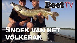 Luc Coppens vangt mega snoek op het Volkerak | Beet magazine | Roofvissen  |  Beet