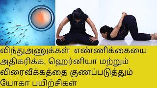 Yoga To Cure Hernia , Hydrocele & To Improve Sperm Counts In Tamil By Dr.Lakshmi Andiappan