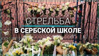 В Сербии после стрельбы в школе могут ввести уголовное наказание с 12 лет