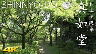 真如堂・京都 / Shinnyo-do KYOTO