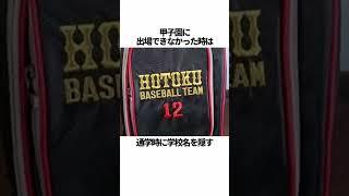 「報徳学園高校野球部」に関する雑学 #野球 #報徳学園高校野球部 #野球解説