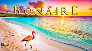 Bonaire, Netherlands: A Caribbean Paradise 4K ~ Cinematic Travel Video