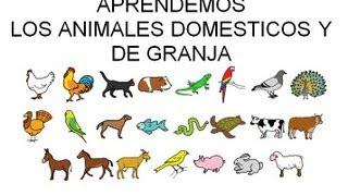 Aprendemos Los animales domésticos