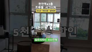 트루엘 시그니처 천안역 모델하우스 5천만원 할인분양 선착순/ 계얀조건