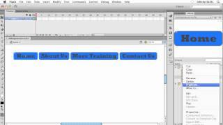 Adobe Flash CS6 Tutorial | Applying an Action to a Button