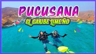 PUCUSANA "EL CARIBE LIMEÑO"  ¿Buceo en Lima? ️