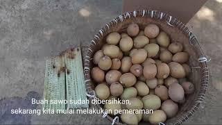 Cara Memeram Buah Sawo Agar Cepat Masak