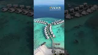 Maldives Magic Overwater Villas, Floating Breakfasts, Island Hopping, and Beach Bliss!| #uktravels