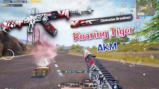 ROARING TIGER - AKM  (AKM's rarest upgrade skin)