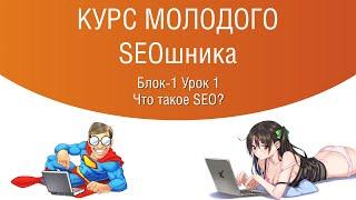 Курс молодого SEOшника. Блок-1 Урок 1. Что такое SEO оптимизация в 2008 и 2020 годах.