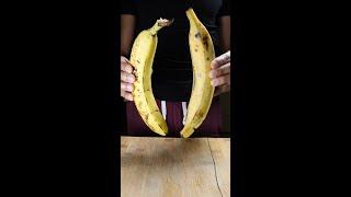 Difference Between Plantain & Banana