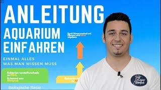 Wie ein Aquarium Einfahren | Einfach erklärt und SEHR WICHTIG! (Vermeide Typische Fehler) -Erklärung