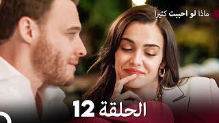 ماذا لو احببت كثيرا الحلقة 12 (حلقة طويلة) (Arabic Dubbed)