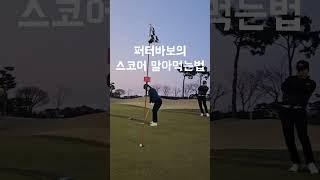 퍼터 너무 어려웡 #golf #golfswing #골프스윙 #키작녀 #골린이 #일상 #구독 #제스타임 #라제스타임 #페어레이디 #아이언 #제스타임서포터즈 #골프치는여자