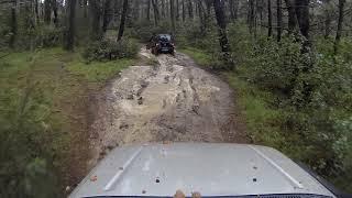 Suzuki Jimny #forest #mud