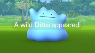 How to get Shiny Ditto on Oh? Quest? Shiny Mewtwo with Psytrike is back