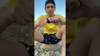 Bushcraft skills near the river #bushcraft #survival #camping #outdoors #forest #shorts