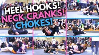 Heel Hooks! Neck Cranks! Chokes! All 9 Submissions from the Sub Spectrum BJJ No-Gi Absolute!