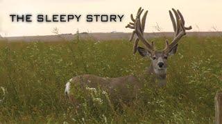 WORLD CLASS 266" MULE DEER - FOUR YEAR BOW HUNTING QUEST! | THE SLEEPY STORY | Full two hour film!