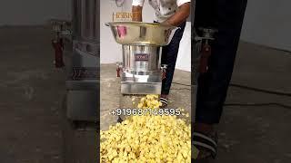 Vegetable Cutting Machine | Vegetable Chopping Machine | Vegetable Cutter Machine