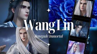 Wang Lin - Renegade Immortal / Xian Ni FMV