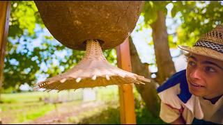 #6 Can this work? Bees in a bell jar / DIY project in the garden