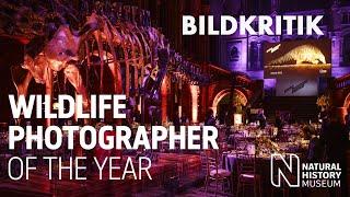BILDKRITIK - Oskar der Naturfotografie | Wildlife Photographer of the Year 2023