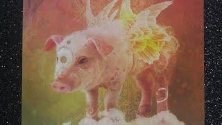 Pig SpiritDaily Guidance #pig #spirit #message #wisely #beautiful #spiritanimal #guidance