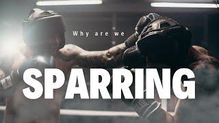 Why do we Spar? Should you spar more?