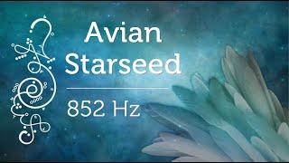 Avian Starseed 852 Hz Pleiadian Music Solfeggio Meditation Music Lightcode Activations Blue Avian