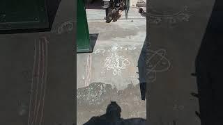 ChatGPT kolam suli kolam python code for kolam challenge by random neural monk