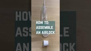 How To Use a Three Piece Airlock for Homebrewing #shorts