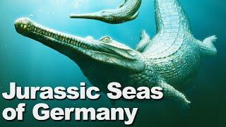 The Jurassic Seas of Germany | BoneHeads in Germany (Part 1)