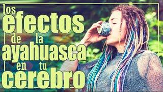 Los EFECTOS de la AYAHUASCA en el CEREBRO