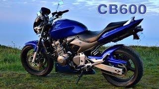 Honda Hornet 600 | Chasing The Sun (pure sound)