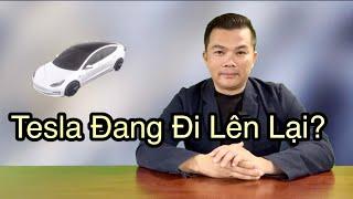 Tesla Còn Đi Xuống Không