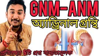 অ্যাড্রিনাল গ্রন্থি||GNM-ANM 2024#hormones  প্রতিবছর 6টি  প্রশ্ন বাধ্যতামূলক#wbjee #anmgnm #nursing