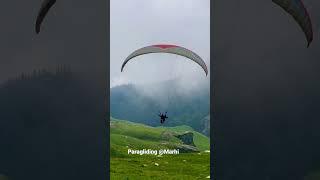 Fly like  #shorts #manali #paragliding