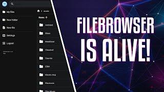 Filebrowser is Back! Web File Manager Install and Overview