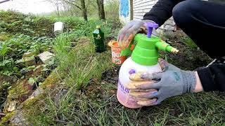 Graffiti - UMBA | GARDEN SPRAYER #2