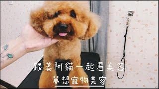 狗狗小美容 剪的有哪些部位? dog grooming | 夢想寵物美容112