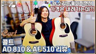 콜트 AD 810 & AF 510 비교 리뷰 [금간기타_Fragile Guitar]