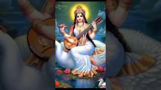 Veena vadini Gyan ki Devi #saraswativandana #music #shortsfeed #viralreels  #song