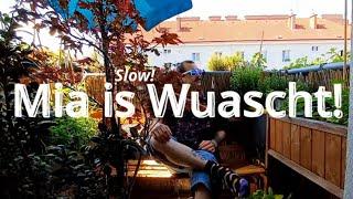 Slow!   Mia is Wuascht! (Official Video)