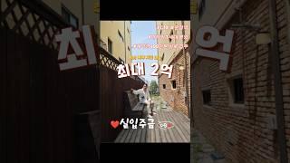 1금융 저금리 추가대출가능(실입주금0원)파주 야당동 3억대 신축빌라 운정역세권